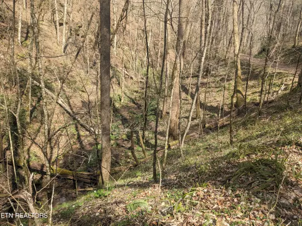 Townsend, TN 37882,Lot 2 Briar Branch Rd