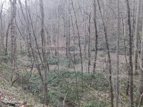 Townsend, TN 37882,Lot 2 Briar Branch Rd