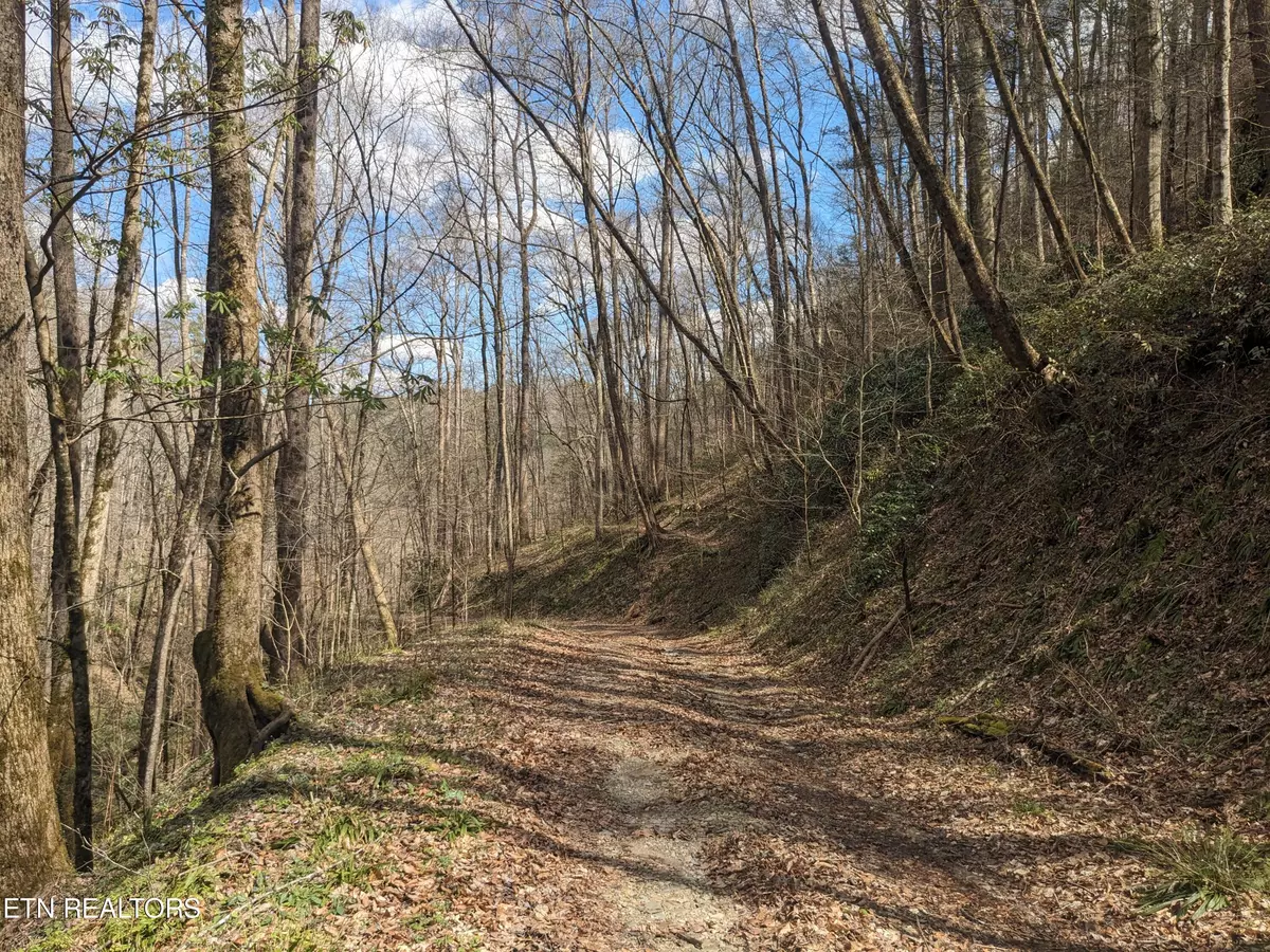 Townsend, TN 37882,Lot 2 Briar Branch Rd