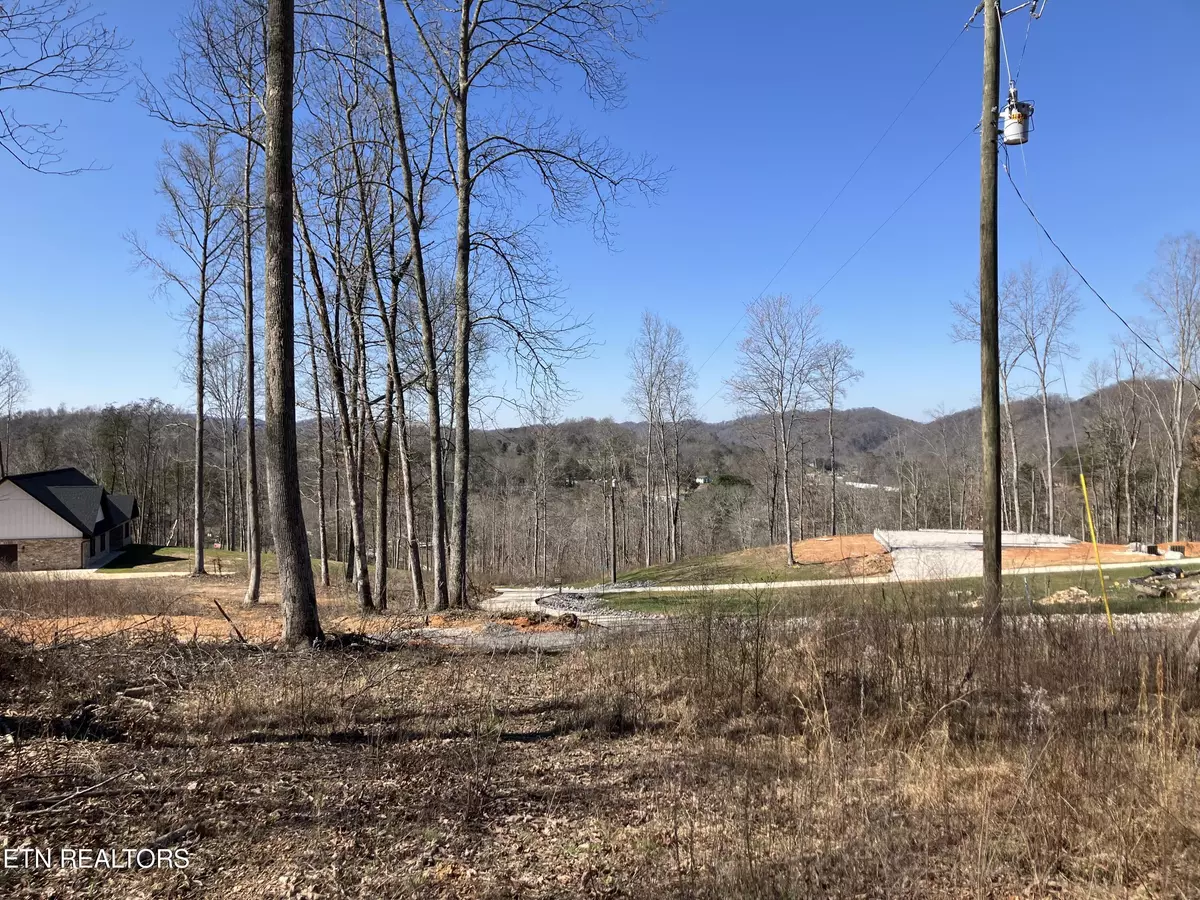 Maynardville, TN 37807,Lot 3 Hidden Timber DR