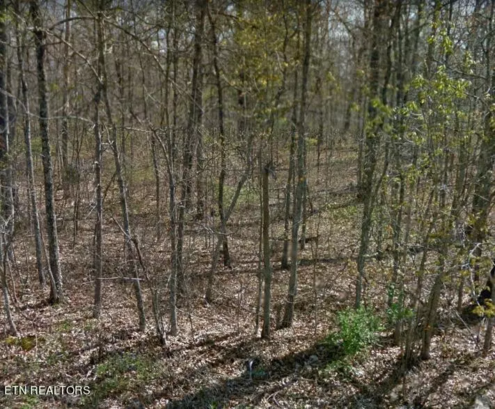 Crossville, TN 38572,2017 Tres CIR