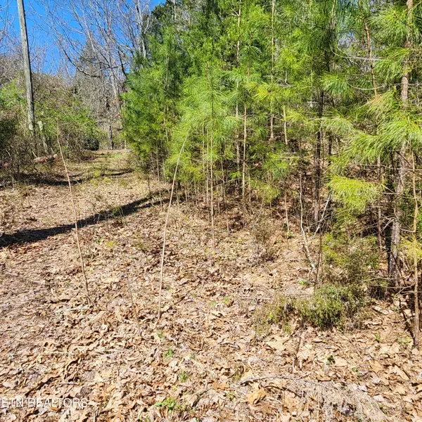 Lot 2 Hubbs Grove Rd, Maynardville, TN 37807