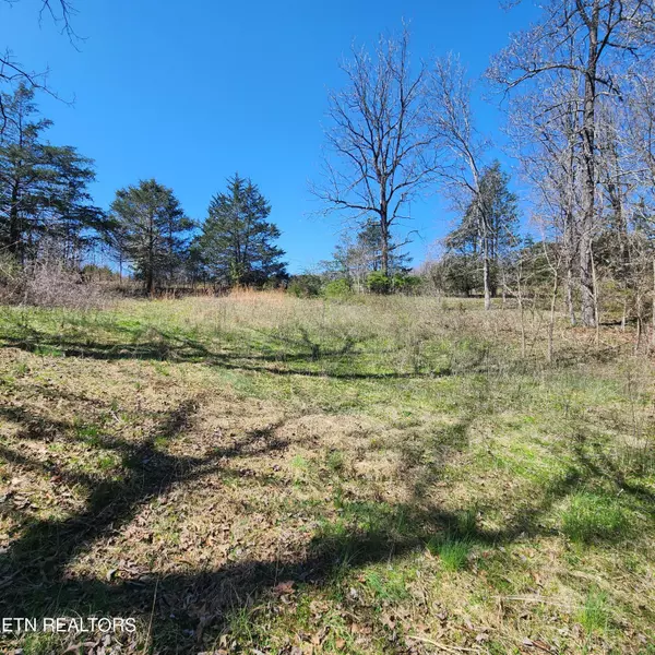 Maynardville, TN 37807,Lot 4 Hubbs Grove Rd