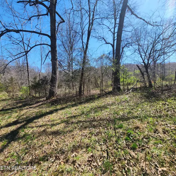 Maynardville, TN 37807,Lot 4 Hubbs Grove Rd