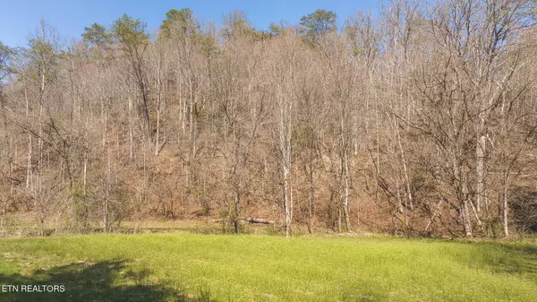 Kyles Ford, TN 37765,15.65 Acre Willis Chapel Rd