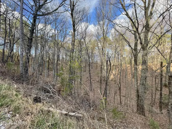 Tellico Plains, TN 37385,2.54ac Smithfield Harold Witt