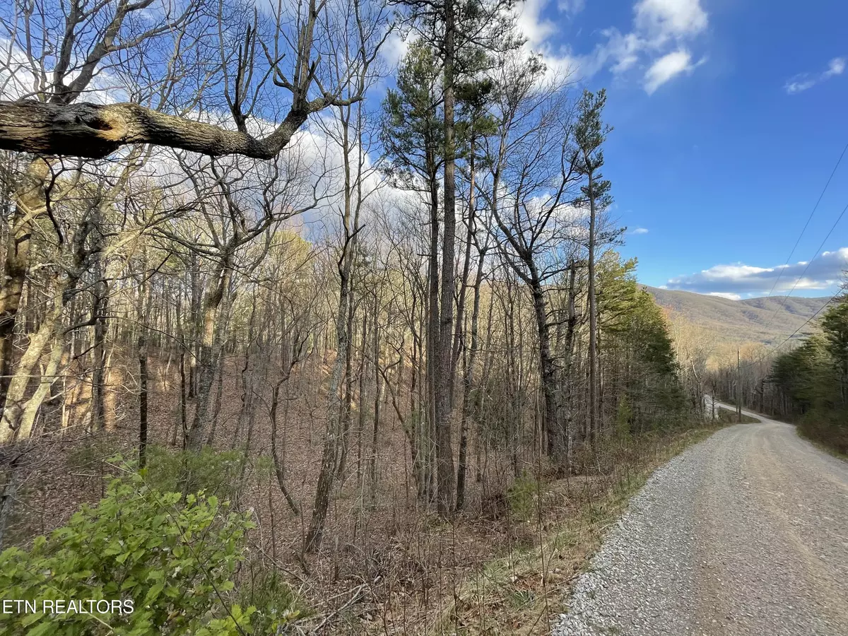 Tellico Plains, TN 37385,2.54ac Smithfield Harold Witt