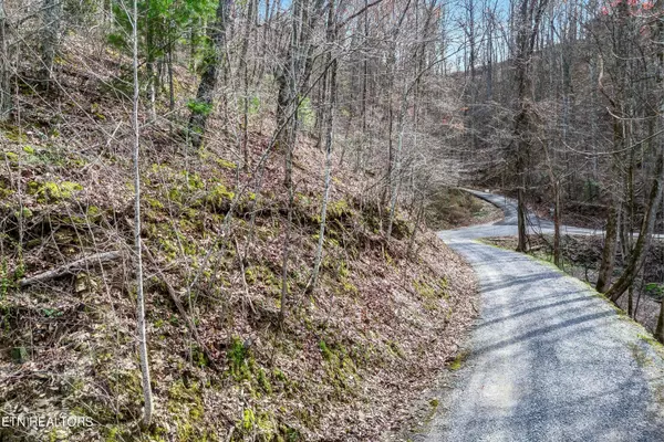 Sevierville, TN 37876,Lot 345A Lamons LOOP