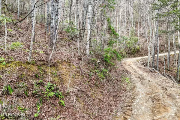 Sevierville, TN 37862,Lot 20 Meadow View Rd