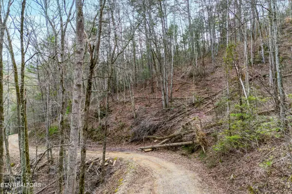 Lot 20 Meadow View Rd, Sevierville, TN 37862