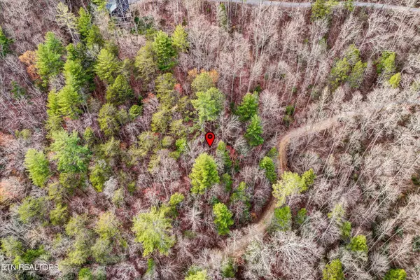 Sevierville, TN 37862,Lot 20 Meadow View Rd