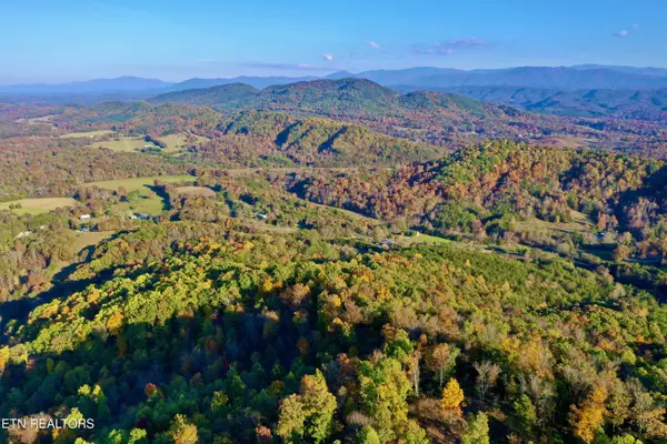 Laurel Creek Rd, Tellico Plains, TN 37385