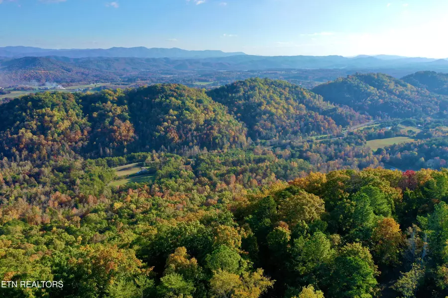 Laurel Creek Rd, Tellico Plains, TN 37385