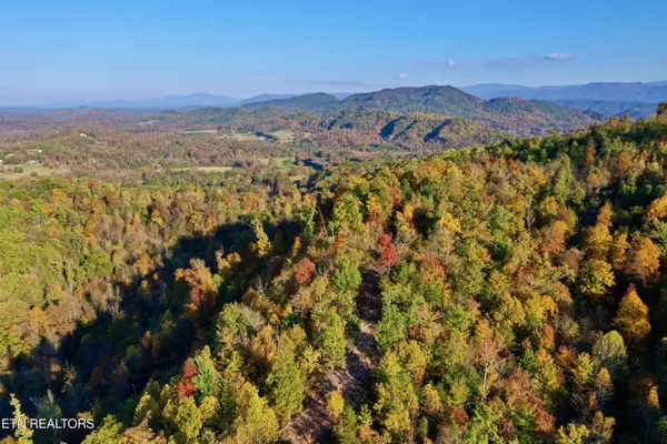 Tellico Plains, TN 37385,Laurel Creek Rd