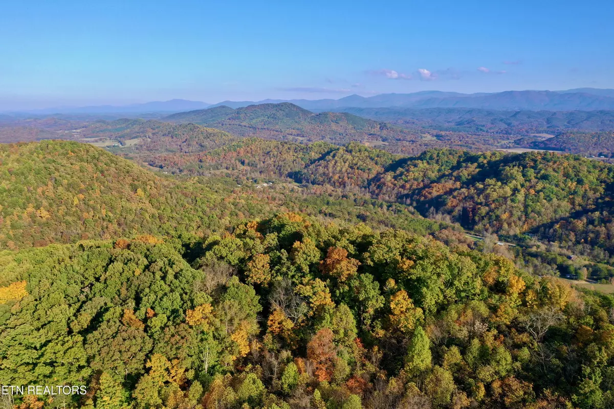 Tellico Plains, TN 37385,Laurel Creek Rd