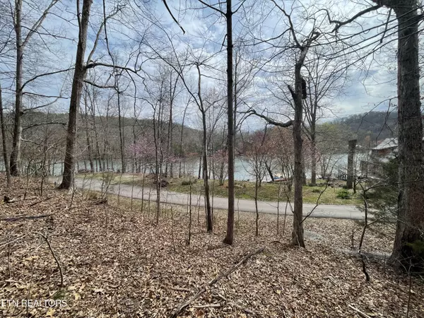 Madisonville, TN 37354,Lot119 Laurel Lake Circle