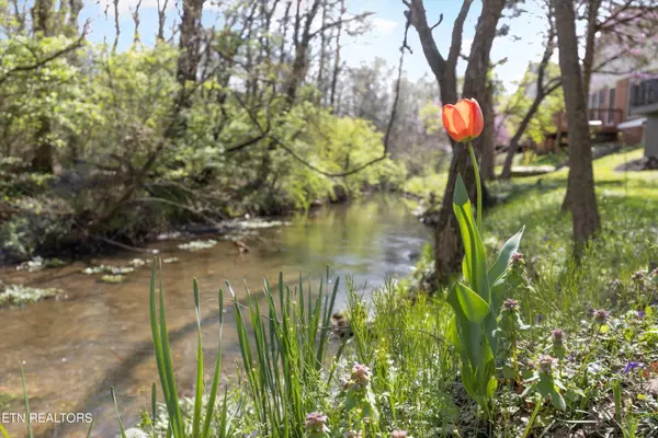 Knoxville, TN 37923,408 Creekview LN