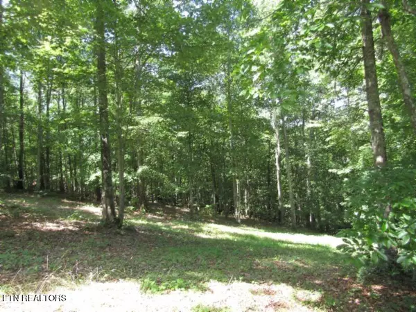 Lot 1 Western Way, Hilham, TN 38568