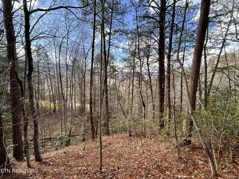 2 Tracts Deer Path Ln LN, Gatlinburg, TN 37738