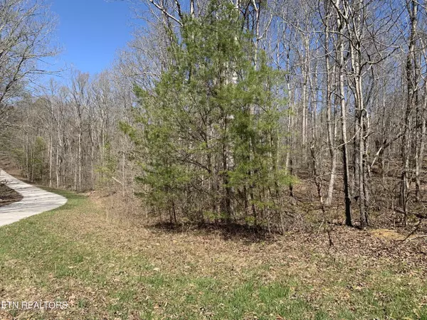 Kingston, TN 37763,Old Ridge Rd #Lot 43