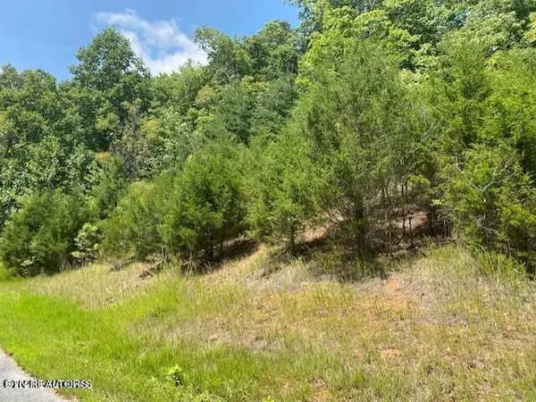 New Tazewell, TN 37825,Lot 492 Citron