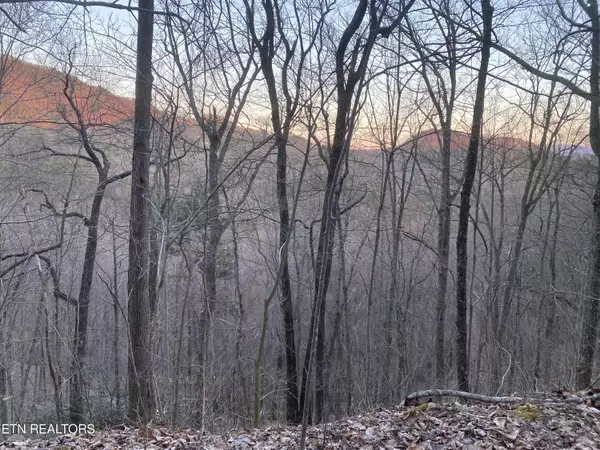 Sevierville, TN 37876,Lot 36 Elderberry DR