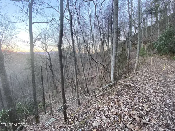 Sevierville, TN 37876,Lot 36 Elderberry DR