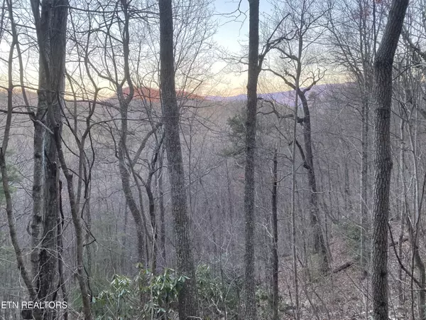 Sevierville, TN 37876,Lot 35 Elderberry DR