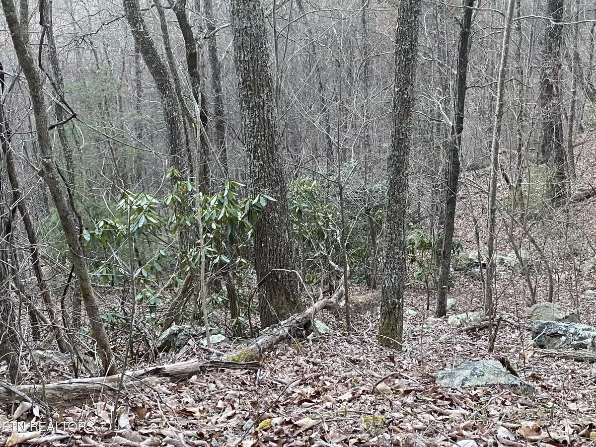 Sevierville, TN 37876,Lot 35 Elderberry DR