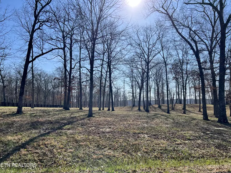 Lot 31 Bluff View LOOP, Crossville, TN 38571