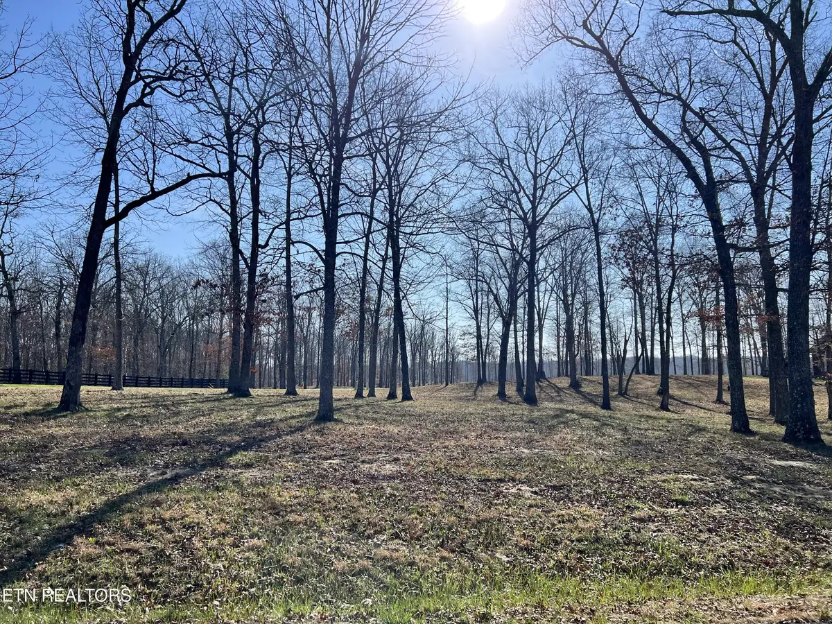 Crossville, TN 38571,Lot 31 Bluff View LOOP