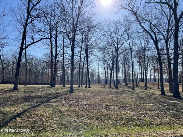 Lot 31 Bluff View LOOP, Crossville, TN 38571