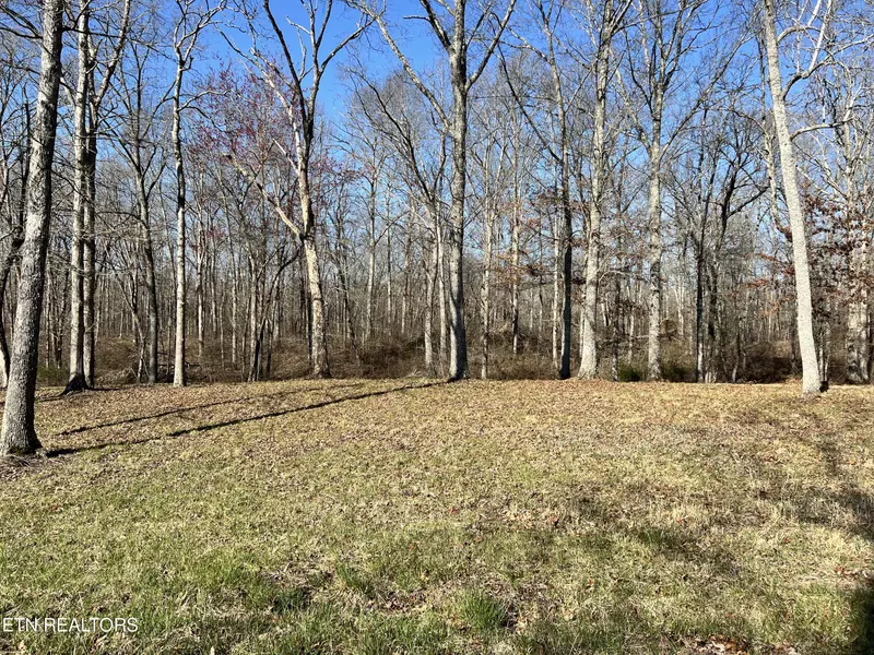 Lot 9 Bluff View LOOP, Crossville, TN 38571