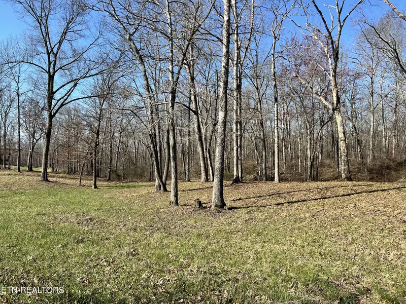 Lot 10 Bluff View LOOP, Crossville, TN 38571