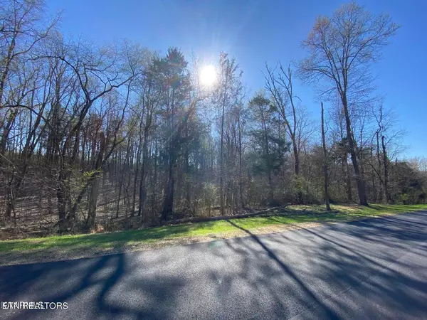 Eagle Ridge DR, Rockwood, TN 37854