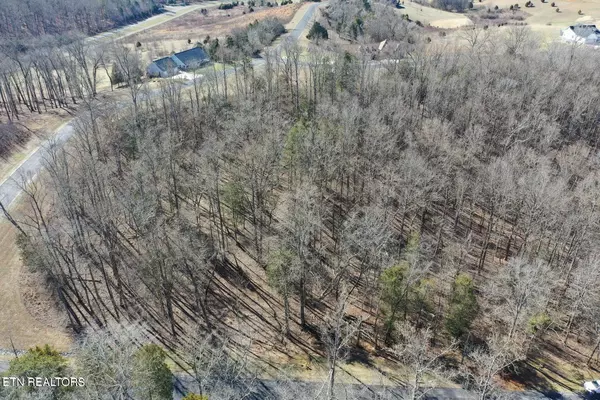 Rockwood, TN 37854,Eagle Ridge DR