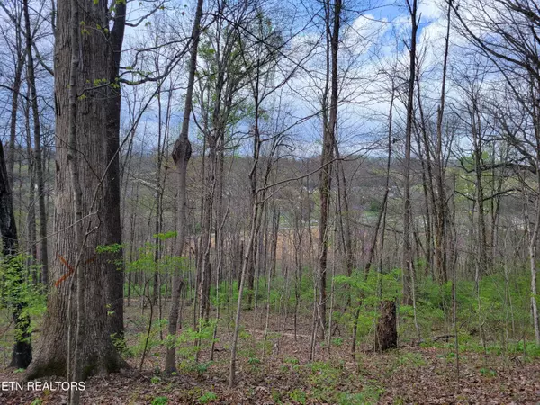 Knoxville, TN 37918,Lot 16 Rifle Range DR