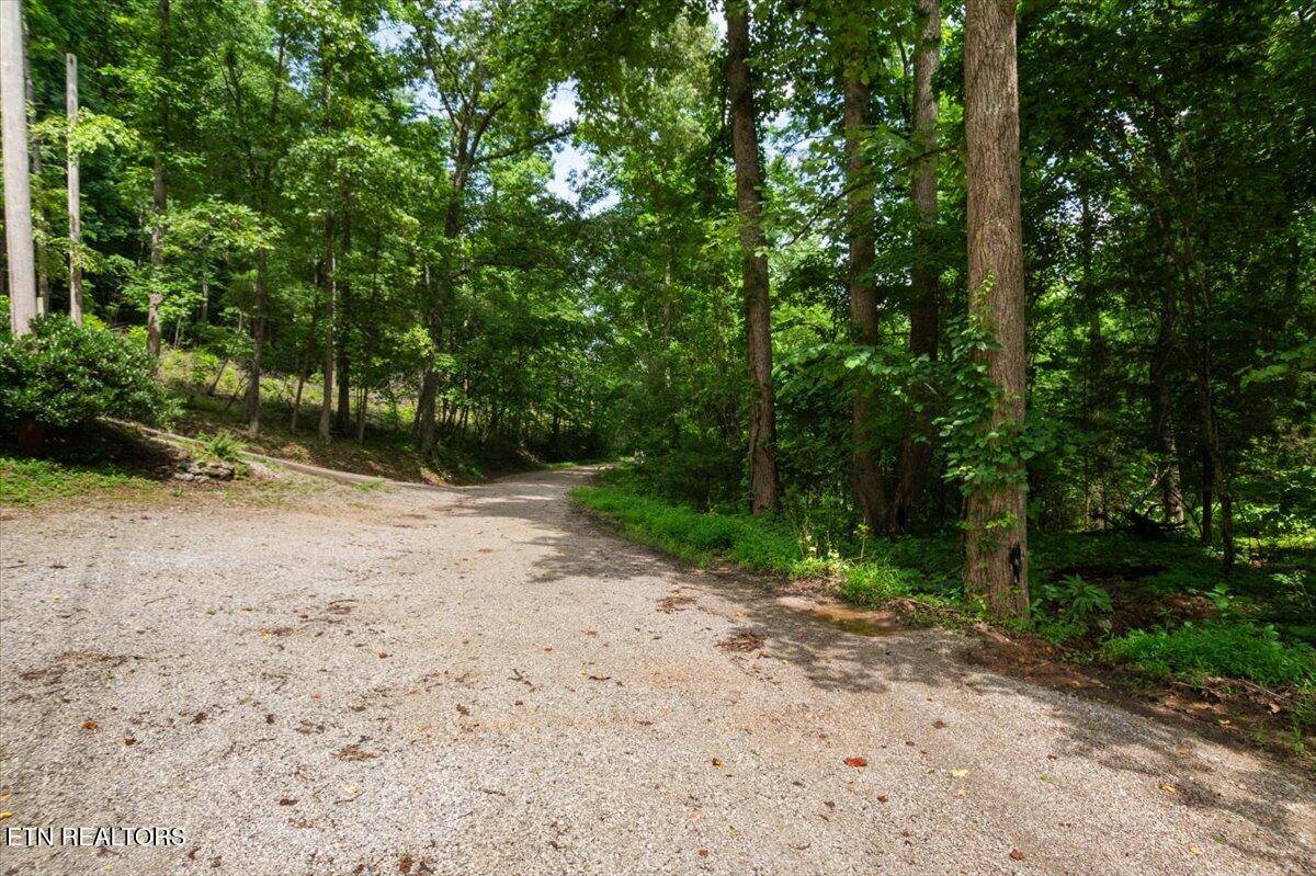 Lafollette, TN 37766,0 Carp LN