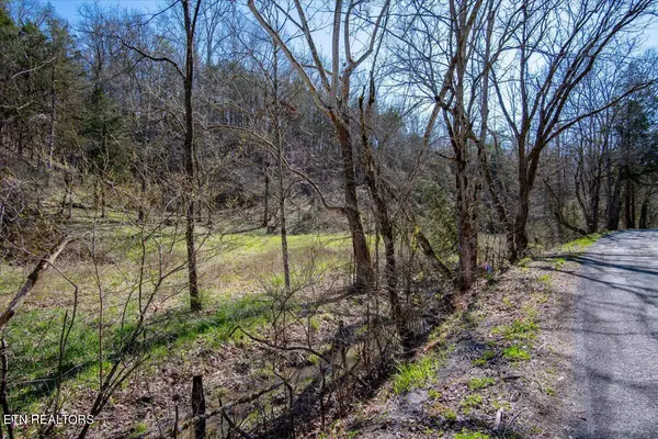 Luttrell, TN 37779,Wolfenbarger Tract 1