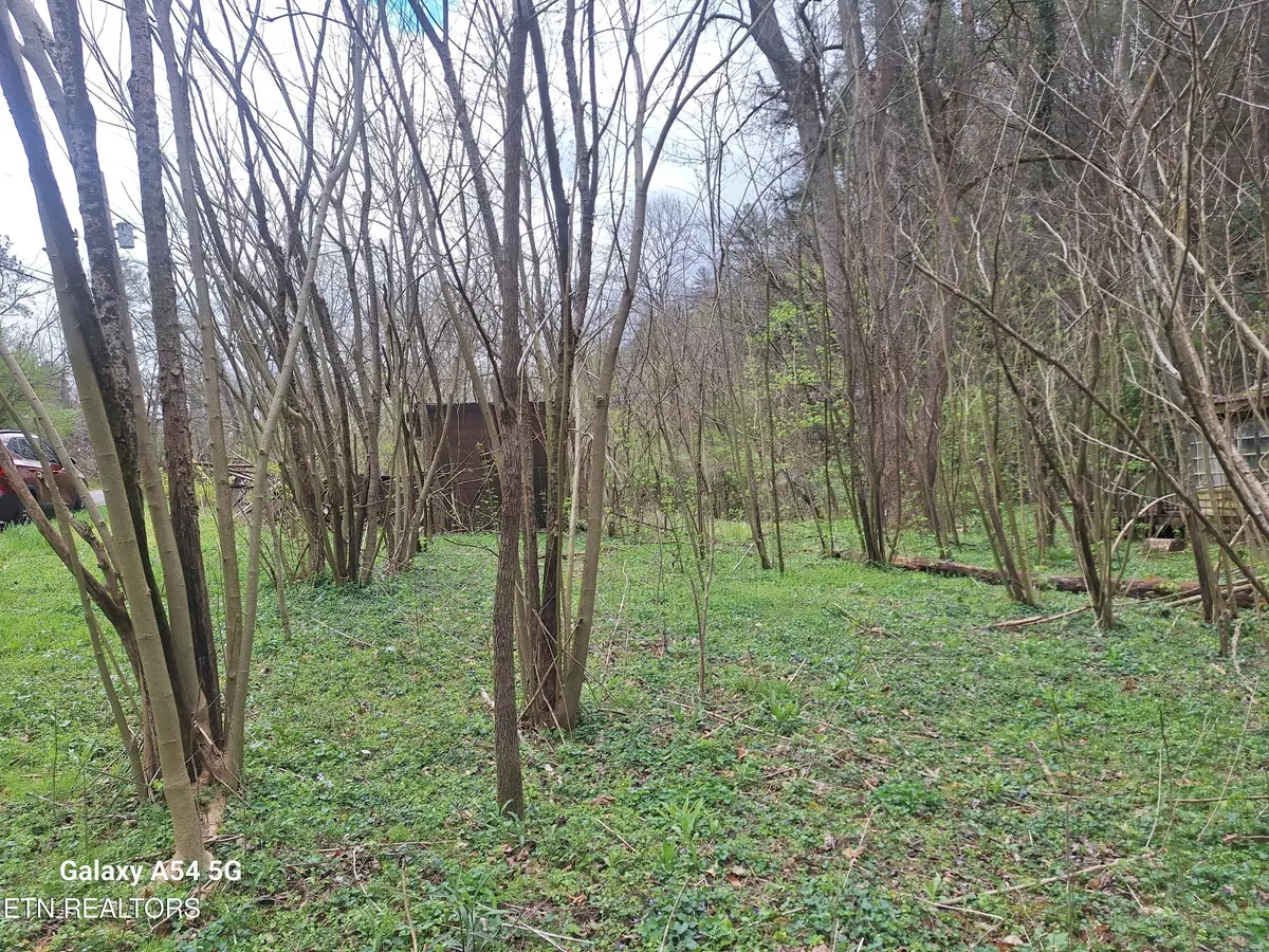 Townsend, TN 37882,428 Lovers LN