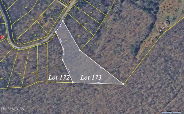 Speedwell, TN 37870,Lot172&173 Saddleridge DR