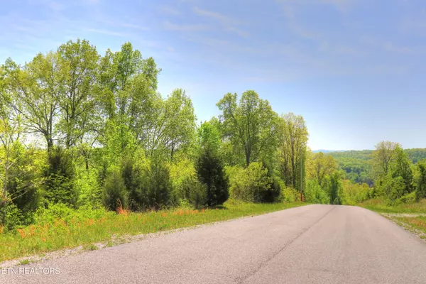 Speedwell, TN 37870,Lot 173 Saddleridge DR