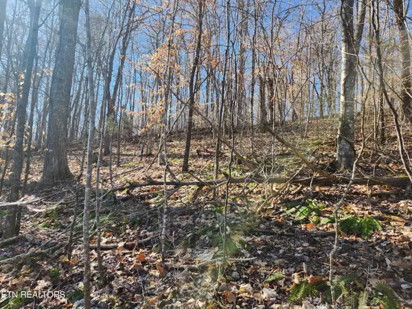 Lot 106 Laurel WAY, Lafollette, TN 37766