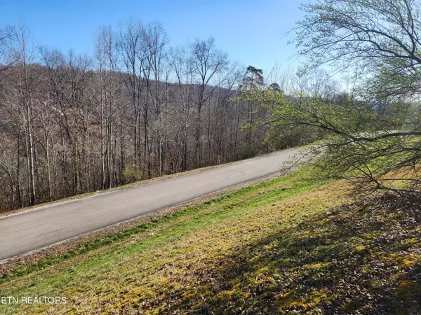 Lafollette, TN 37766,Lot 106 Laurel WAY