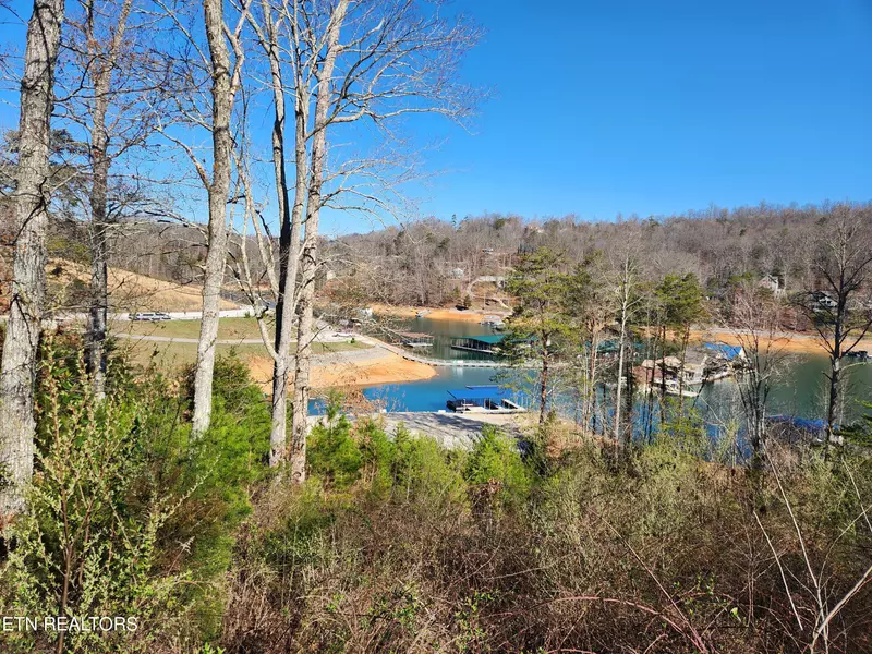 Lot 203 Waterside LN, Lafollette, TN 37766