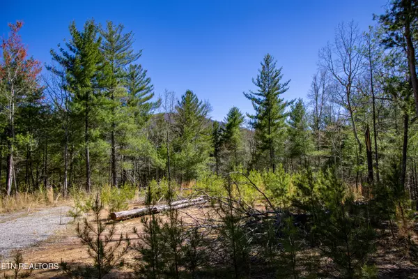 Tellico Plains, TN 37385,2.42 Smithfield Rd