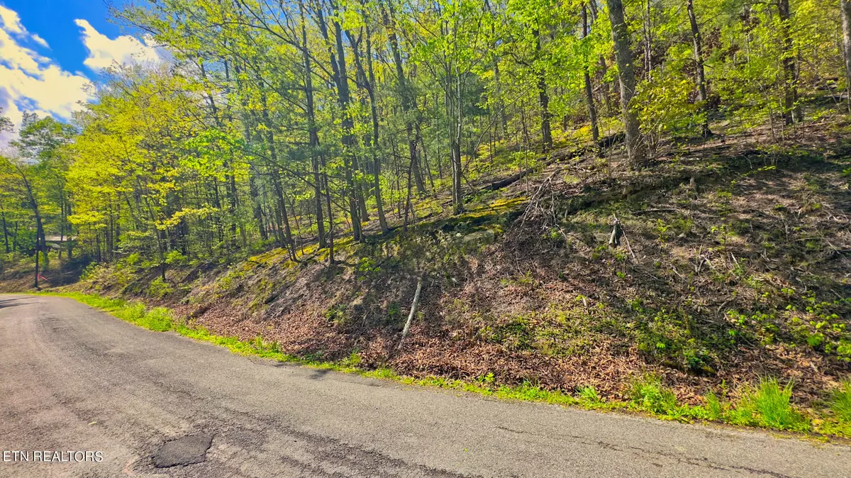 Sevierville, TN 37876,Lot 108 Mountain Blvd