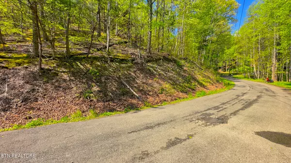 Sevierville, TN 37876,Lot 108 Mountain Blvd