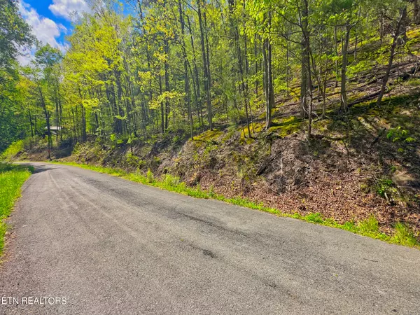 Sevierville, TN 37876,Lot 108 Mountain Blvd