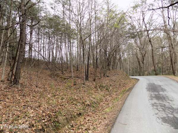 Lot 61 Deerfoot Rd,  Cosby,  TN 37722